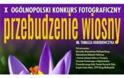 Zdjęcie do Og&oacute;lnopolski Konkurs Fotograficzny &quot;Przebudzenie...