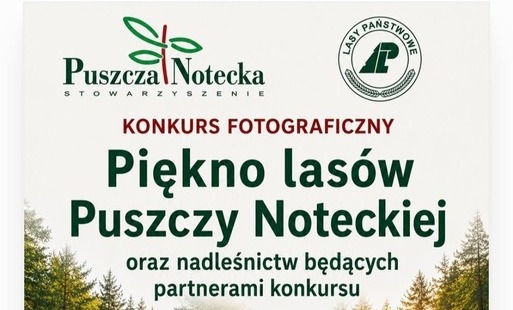 Zdjęcie do Konkurs Fotograficzny 